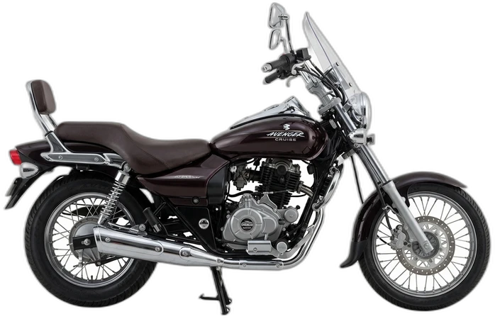 Bajaj Avenger 220 Rental Leh