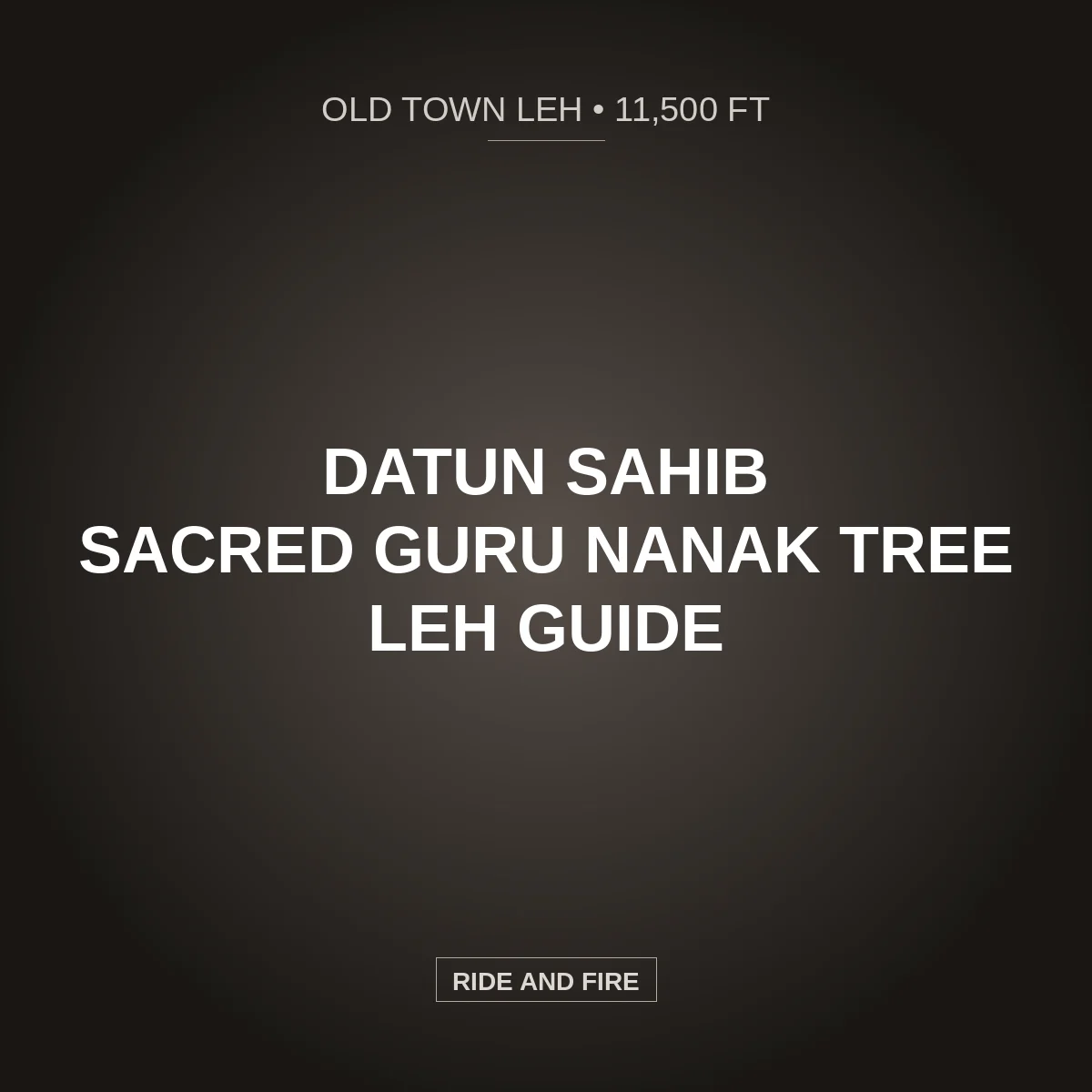 Datun Sahib Leh: Guru Nanak Sacred Tree & Old Town Bike Guide [2026]