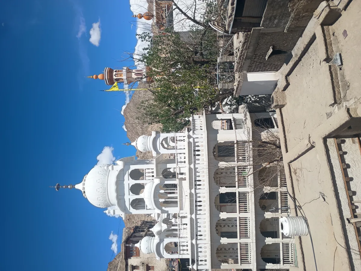 The sacred ancient Datun Sahib tree grown from Guru Nanak's tooth-stick in Old Town Leh