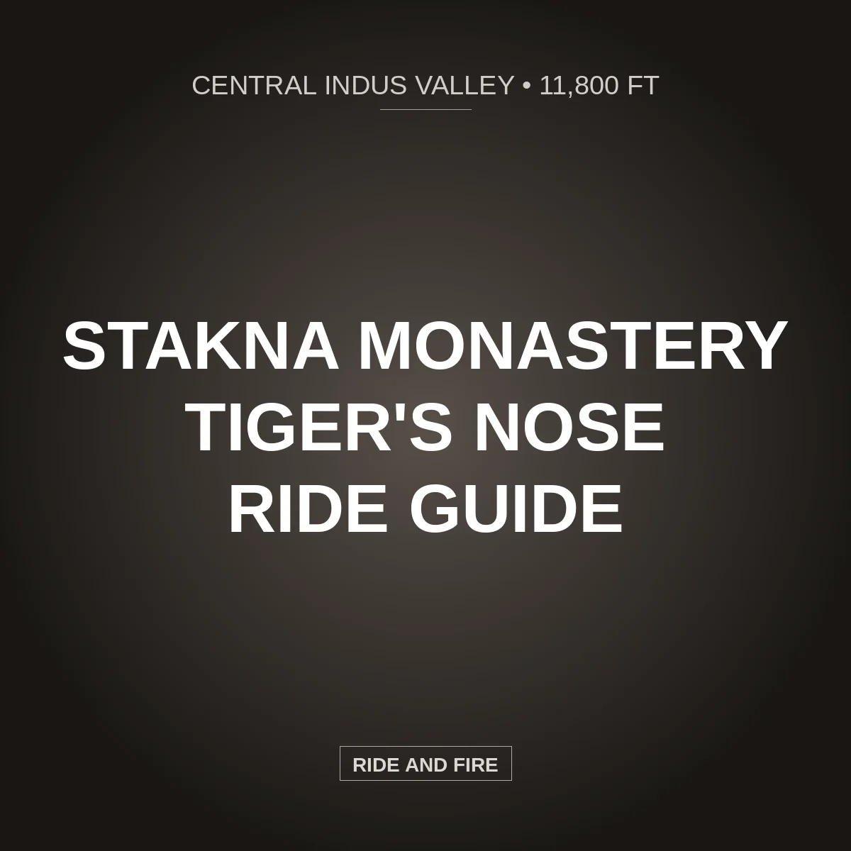 Stakna Monastery (Tiger's Nose): Indus River Motorcycle Guide [2026]