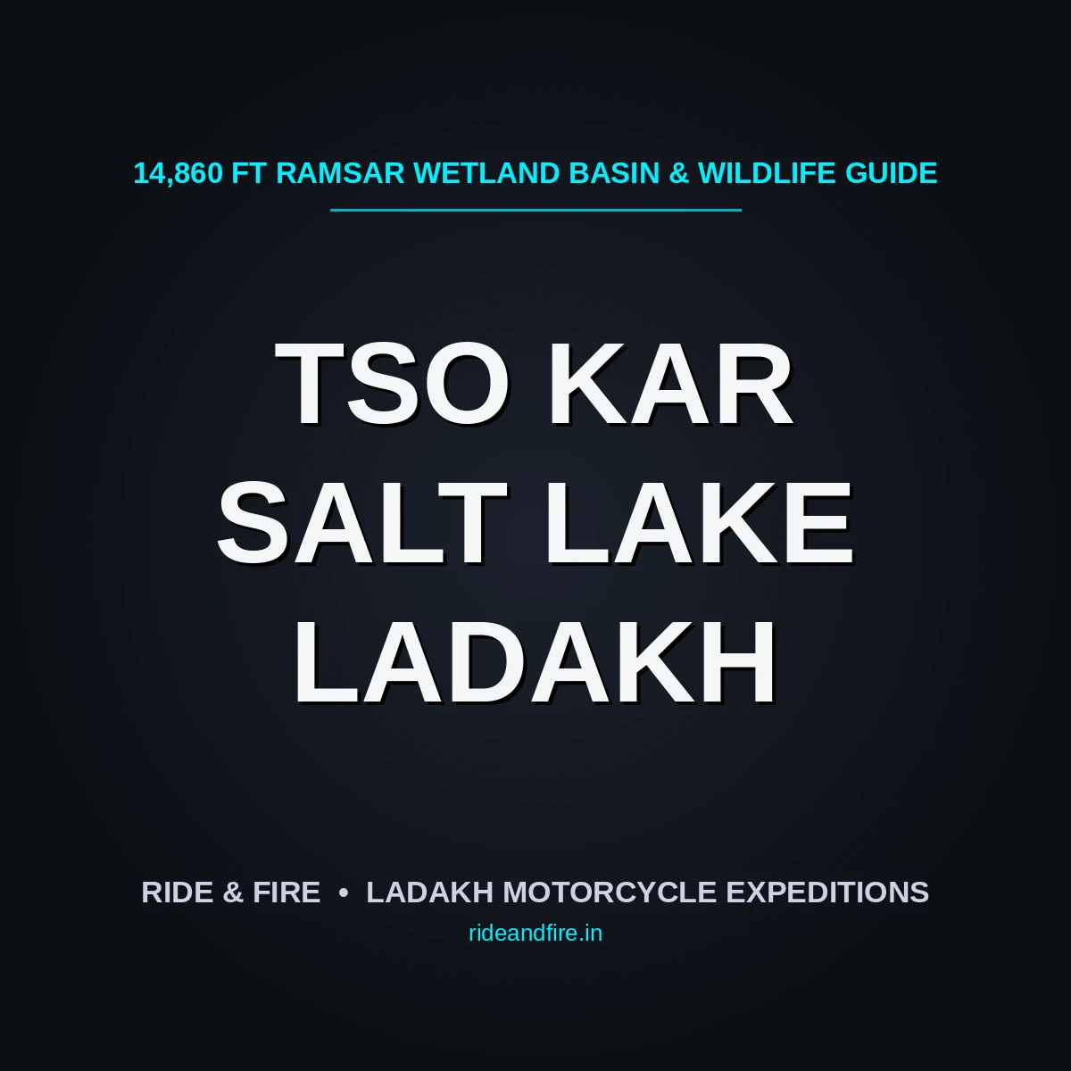 Tso Kar Lake: The Definitive High-Altitude Salt Lake and Wildlife Basin Guide [2026]