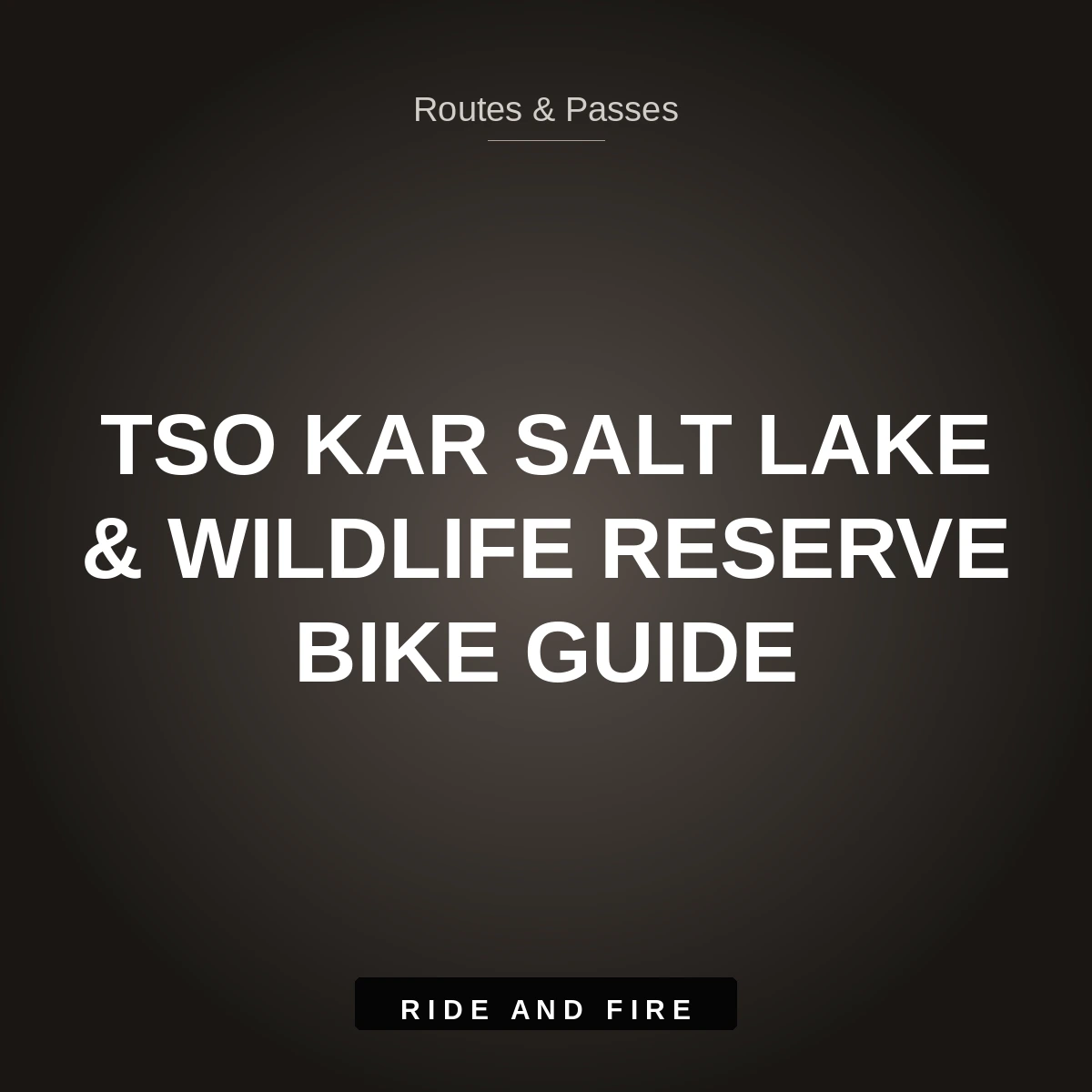 Tso Kar Salt Lake Ladakh: Wildlife & Off-Road Motorcycle Guide [2026]