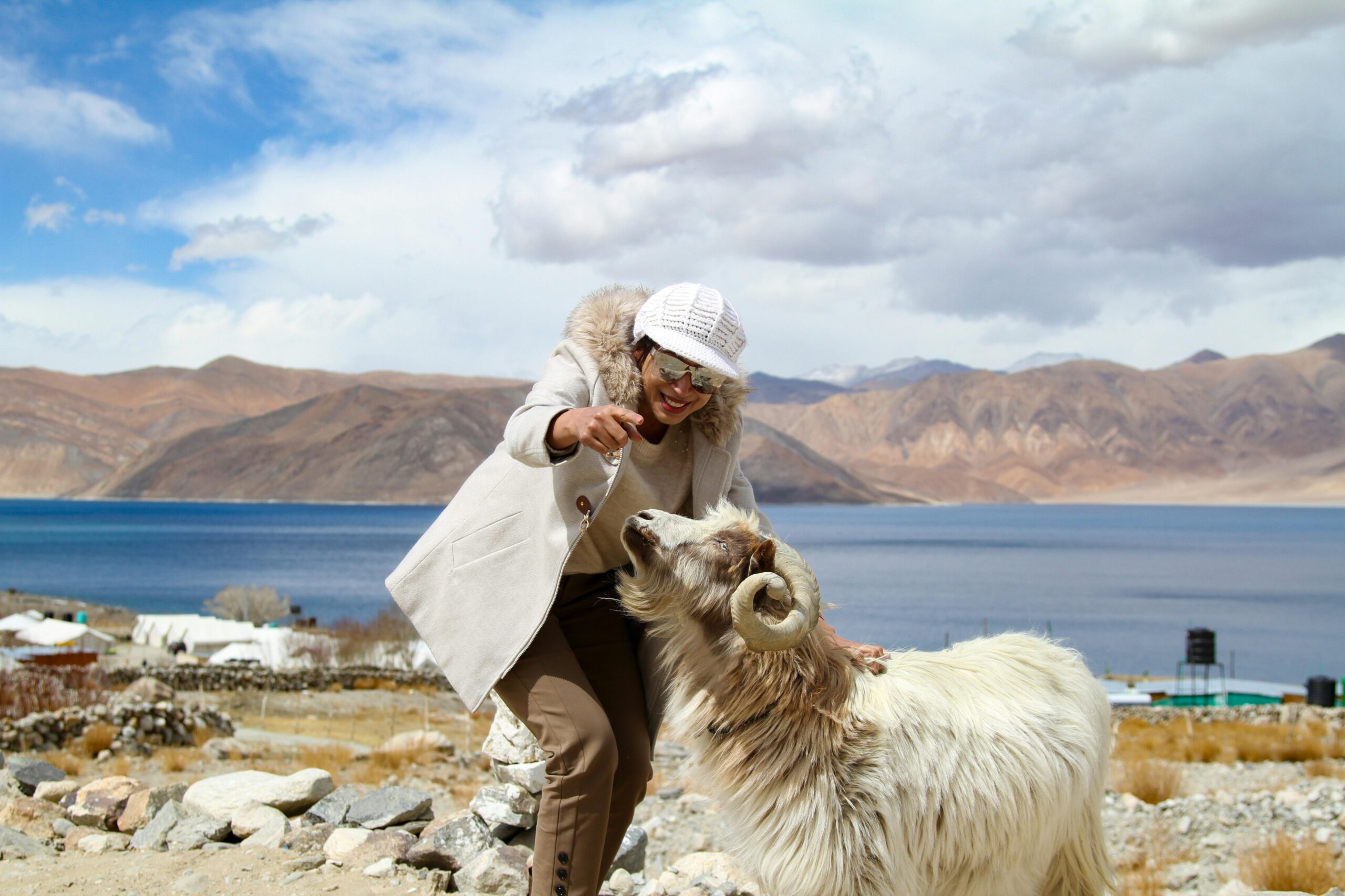 a person with a ram in ladakh pangong lake